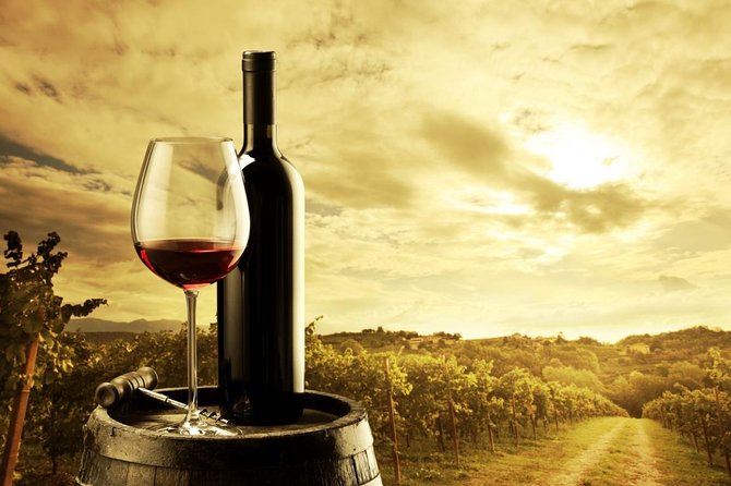 Elderton Chocolate And Wine Matching - The practical cost and timing