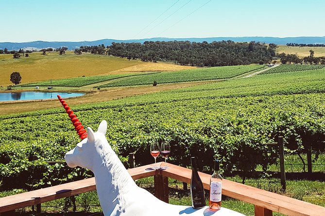 Epic Yarra Valley Wine Tour + Lunch, Chocolate & Gin/Beer Option - Group size, guide style, and the social side