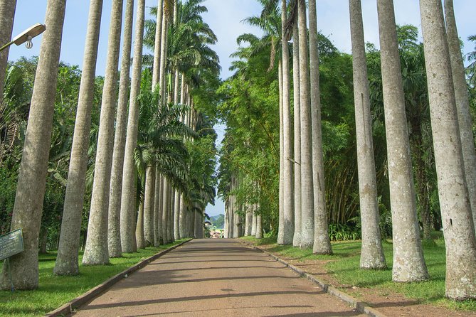 Escape Accra City to Aburi Gardens and Tetteh Quarshie Cocoa Farms - Why this is one of Accra’s easier countryside escapes