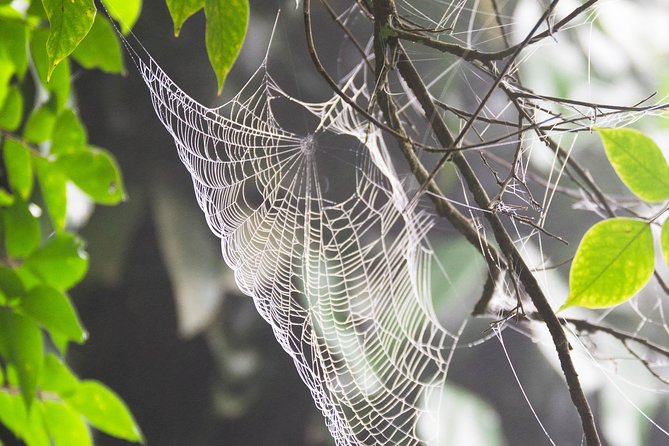 Escape Accra City to Aburi Gardens and Tetteh Quarshie Cocoa Farms - The Aburi views and the return from the hills