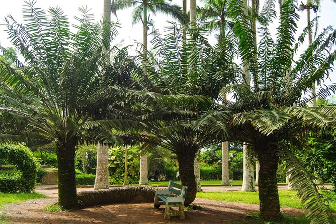 Escape Accra City to Aburi Gardens and Tetteh Quarshie Cocoa Farms - Is $170 a fair price for this half-day tour?