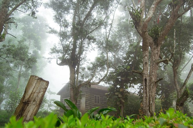 Escape Accra City to Aburi Gardens and Tetteh Quarshie Cocoa Farms - Which travelers will get the most from it