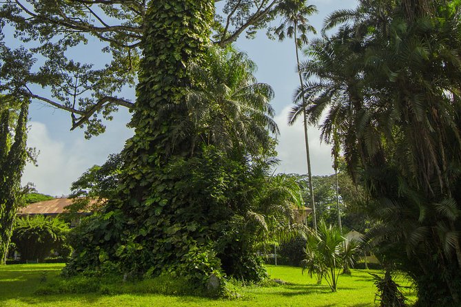 Escape Accra City to Aburi Gardens and Tetteh Quarshie Cocoa Farms - Weather, cancellation, and practical planning