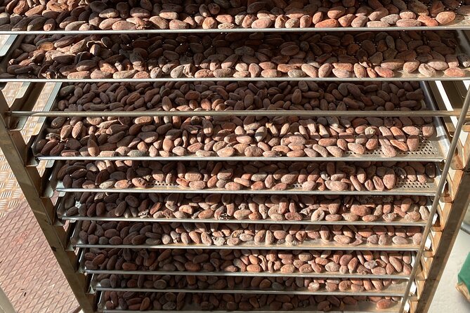 Ethical Chocolate Tour - Who will enjoy this chocolate tour most?