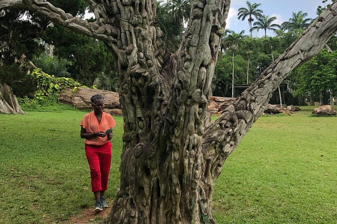Experience Boti Waterfalls, Aburi Botanical Gardens & Tetteh Quarshie Cocoa Farm - Asenema Waterfalls adds a quieter final stop