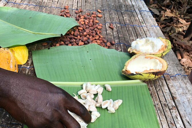 Experience Boti Waterfalls, Aburi Botanical Gardens & Tetteh Quarshie Cocoa Farm - Tetteh Quarshie and Ghana’s cocoa story