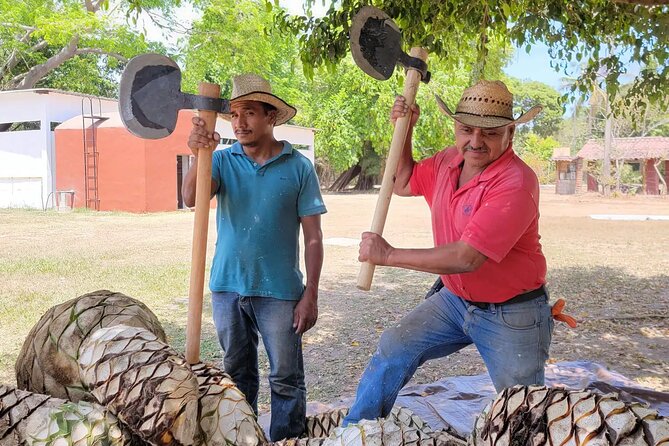 Finca 18 Puerto Vallarta Tequila Tour + Chocolate Pairing - A ranch visit before the first pour