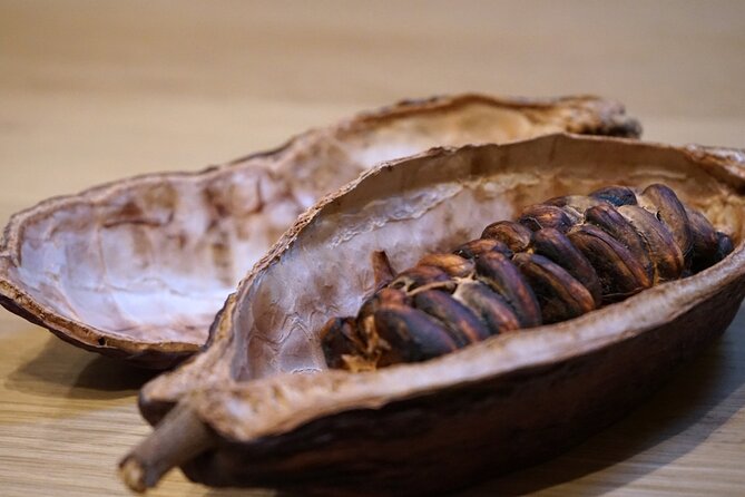 Fine Chocolate Tasting in Turin - Starting at Chocolate7 in Turin
