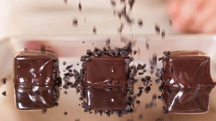 Florence: Praline Gelato and Chocoviar Venchi Masterclass - A practical way to prepare