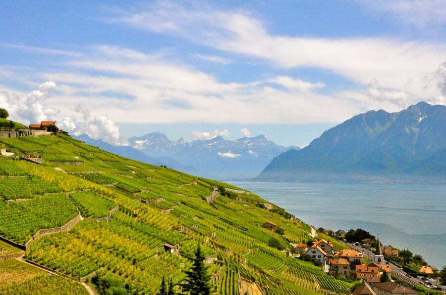 From Geneva: Gruyères Private Tour Cheese & Chocolat Factory - The Lavaux terraces and Lake Geneva views