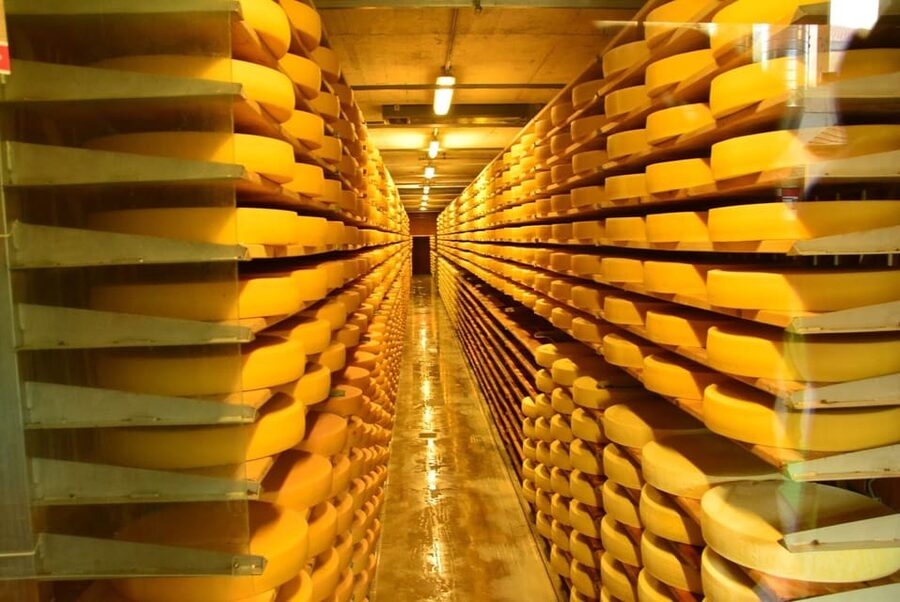 From Geneva: Gruyères Private Tour Cheese & Chocolat Factory - Who should book this experience?