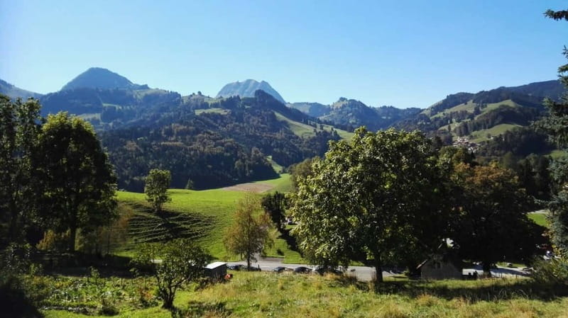 From Geneva: Gruyères Tour with Cheese & Chocolate Factories - Gruyères village, the part worth the long drive