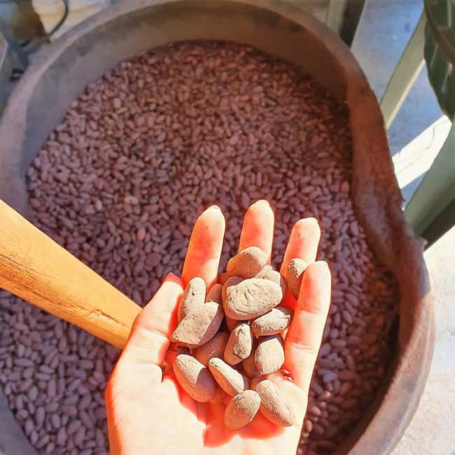 From Puerto Plata Priv: Cocoa, Coffee, Cigars & Local Market - Key points at a glance