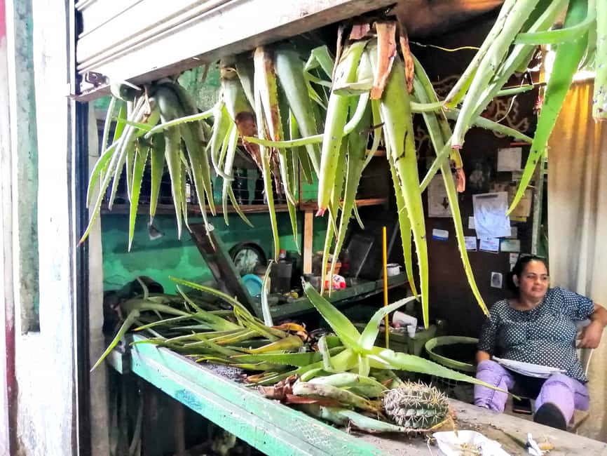 From Puerto Plata Priv: Cocoa, Coffee, Cigars & Local Market - Santiago’s market, cathedral, and city center