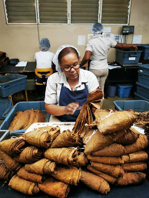 From Puerto Plata Priv: Cocoa, Coffee, Cigars & Local Market - The mountain road to La Cumbre