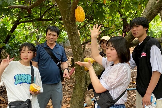 Full Day Experience to Farm and Chocolate - Making and decorating your own chocolate