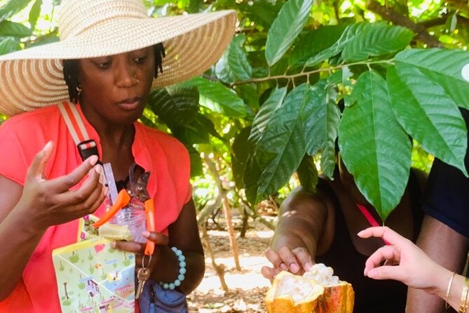 Full Day Experience to Farm and Chocolate - Cafe desserts, drinks, and souvenirs