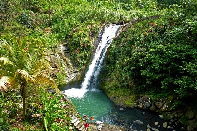 Full-Day Tour: Concord Waterfall, Chocolate Factory, Rum Distillery, Grand Etang - The essential facts at a glance