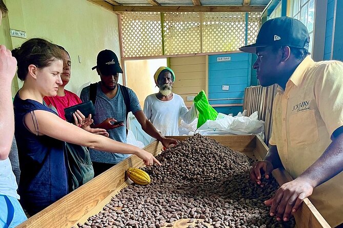 Full-Day Tour: Concord Waterfall, Chocolate Factory, Rum Distillery, Grand Etang - What to pack for this particular day