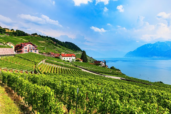 Geneva to Gruyère Private Day Trip. Cheese & Chocolate Tour - Price, Packages, and What You Actually Get
