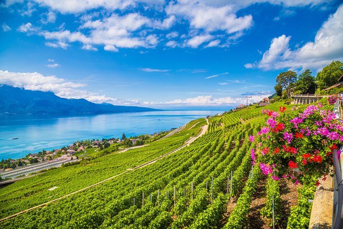 Geneva to Gruyère Private Day Trip. Cheese & Chocolate Tour - Who Will Like This Experience Most