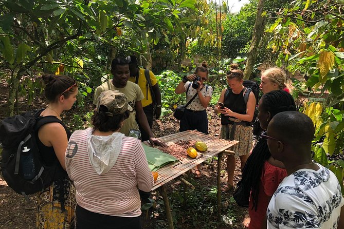 Ghana Eastern Explorer - Boti Falls, Aburi Gardens & Tetther Quarshie Cocoa Farm - Aburi Botanical Gardens: a calm first stop
