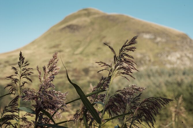 Glengoyne Distillery Tour with Whisky and Chocolate Tasting - Who will enjoy this most?