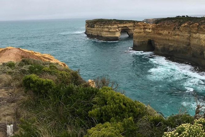 Great Ocean Road 12 Apostles kangaroo, koala and chocolate tour - Why this budget tour works for the Great Ocean Road