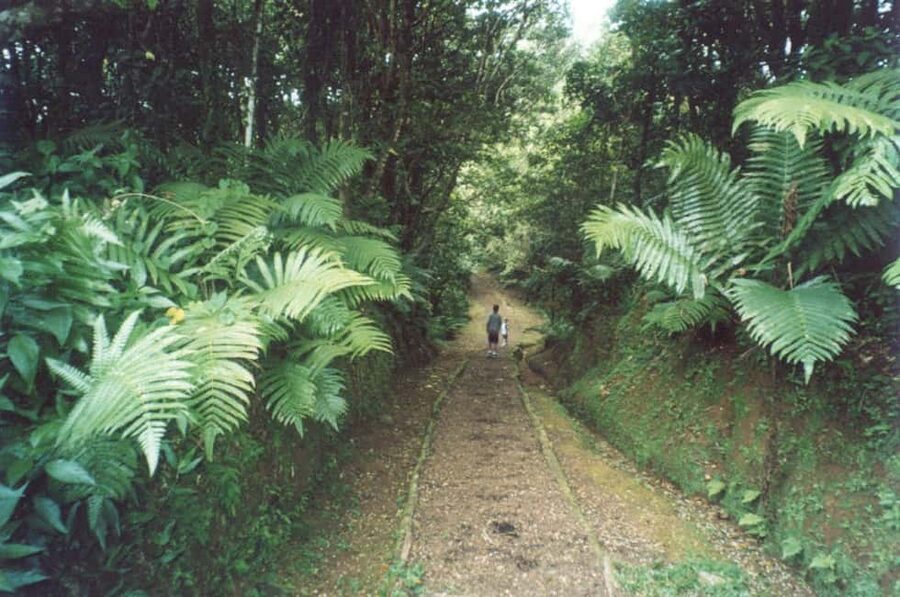 Grenada: Culture and Nature Island Tour with Chocolate & Rum - Annandale Falls: the best chance to cool off