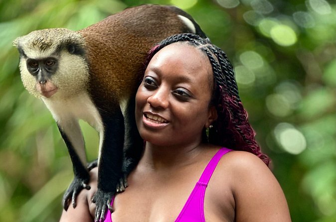 Grenada Day Tour-Concord Falls, Chocolate, Rum & Grand Etang Lake - Chocolate, spices, and the taste of Grenada