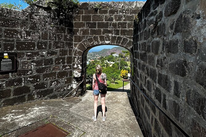 Grenada Half Day Tour: Fort, Spice, Falls, Chocolate & Lunch Stop - Concord Falls brings the tour outdoors