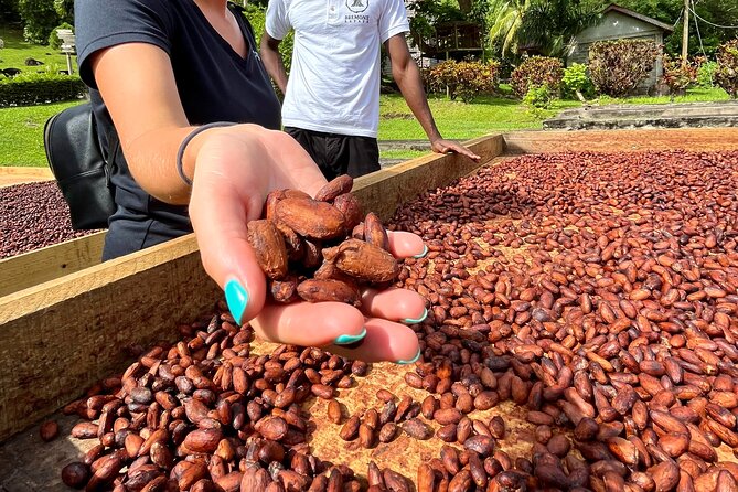 Grenada Half Day Tour: Fort, Spice, Falls, Chocolate & Lunch Stop - The guide can shape the whole day