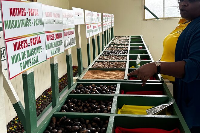 Grenada Half Day Tour: Fort, Spice, Falls, Chocolate & Lunch Stop - Who should book this tour