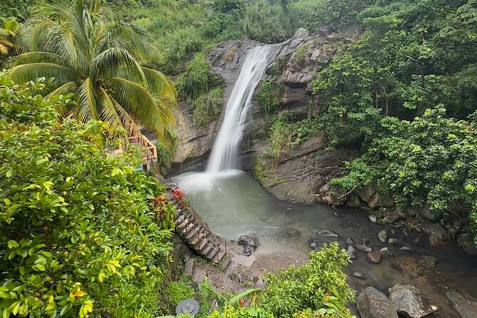 Grenada Half Day Tour: Fort, Spice, Falls, Chocolate & Lunch Stop - Beaulieu explains the island’s nutmeg trade