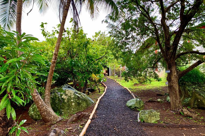 Grenada Herb & Spice Tour -Fort Frederick, Chocolate & Waterfalls - Tri-Island Chocolate and a short taste of local production