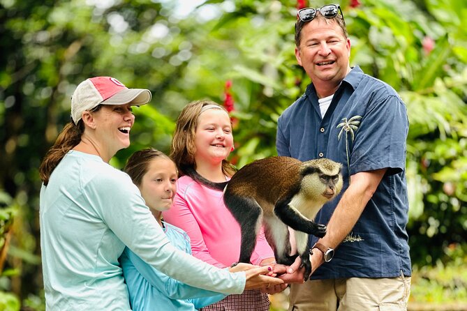 Grenada Highlights: City Tour, Fort, Chocolate, Rainforest- Falls - Key points to know before booking