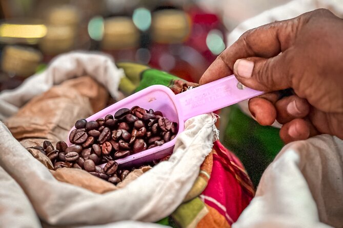 Grenada Highlights: City Tour, Fort, Chocolate, Rainforest- Falls - Tasting Grenada at the chocolate stop