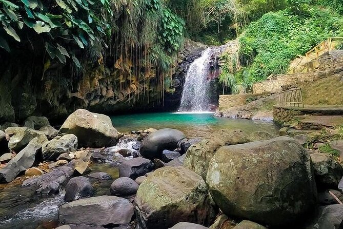 Grenada Highlights Half-Day Rum, Chocolate and Waterfall Tour - Who should book this outing