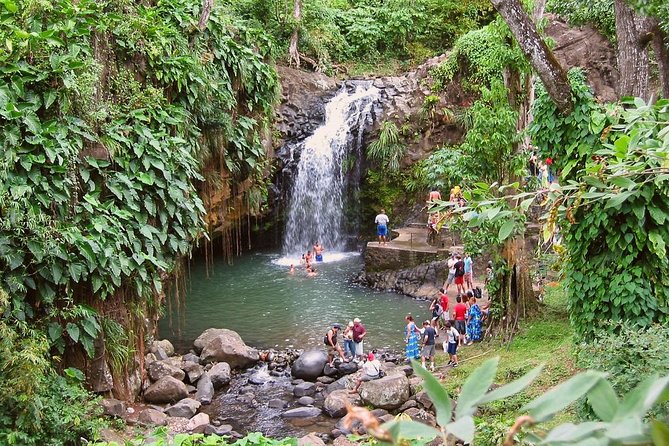 Grenada Spice Gardens, Rum & Chocolate Tour (Full/Half Day) - Why chocolate is the right place to start