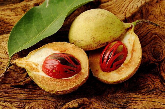 Grenada Spice Gardens, Rum & Chocolate Tour (Full/Half Day) - Laura’s Herb and Spice Garden