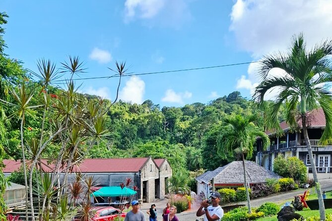 Grenada Spice with Rum and Cocoa Heritage Tour - Why this Grenada day works so well