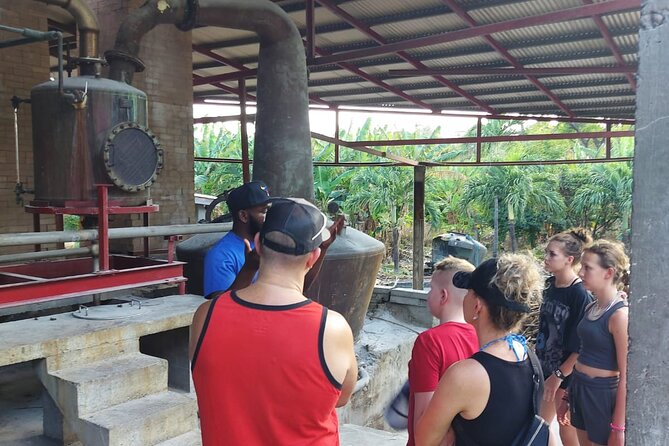 Grenada Spice with Rum and Cocoa Heritage Tour - Belmont Estate: cocoa, food, and plantation traditions