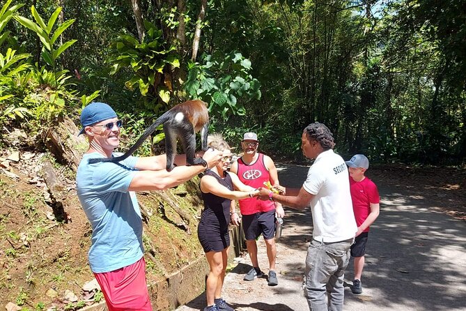 Grenada Spice with Rum and Cocoa Heritage Tour - What the guide adds to the day