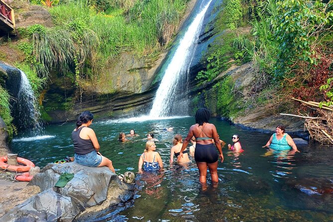 Grenada Spice with Rum and Cocoa Heritage Tour - Concord Falls: a short walk into Grenada’s green interior