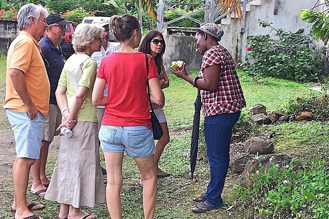 Grenada West Coast: Waterfalls, Chocolate & Rum Half-Day Tour - Jouvay Chocolate and Belmont Estate