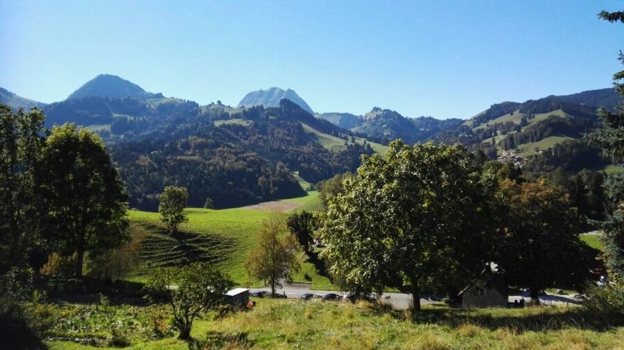 Gruyères, Cheese and Chocolate: Private Tour - Should you book the Gruyères day trip?
