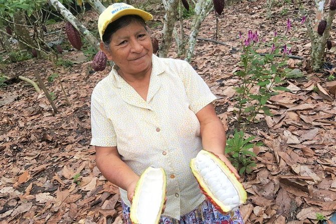 Guayaquil to Cuenca one-way tour with Cajas Park and a Cacao Farm visit - Why this transfer makes sense