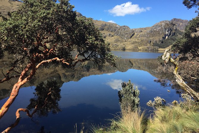 Guayaquil to Cuenca one-way tour with Cajas Park and a Cacao Farm visit - Who should book this Guayaquil to Cuenca route?