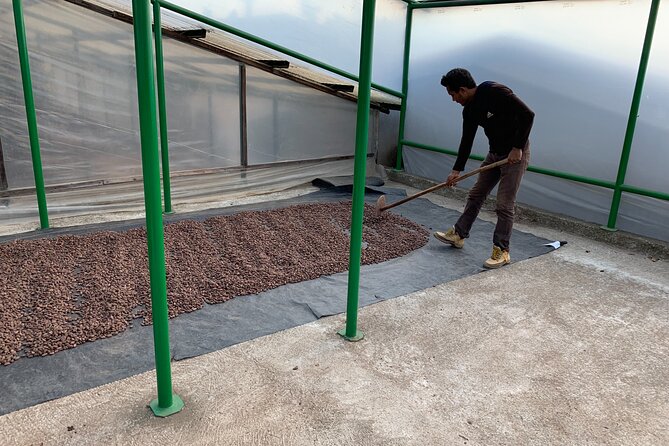Guided tour of the Artisan Chocolate Factory in Tuscany - Is $100 Good Value for 90 Minutes?
