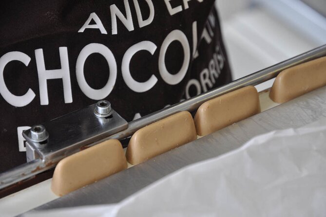 Guided Tour of the Chocolate Factory: Tasting Included - Who should book this chocolate factory visit